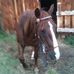 Gail Murchison - Facebook