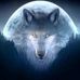 Gail Murdock - Facebook