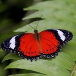 Gail Murrell - @murrellgail - Instagram