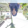 avegailnagyupan - @avegailnagyupan - TikTok
