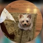 Brenda Ligon - @nannie.gail - Instagram