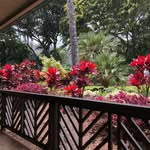 Gail Nicholas Stevenson - @gailnicholasstevenson - Instagram