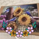 Gail Nowak - @gnowak76 - Instagram