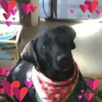 Gail Nowak - @victorian1775goth - Instagram