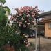 Gail Ochse - Facebook