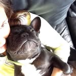 Gail O'Connell - @ocoga - Instagram