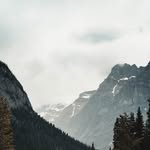 Gail OConnell DVM - @natha.n_ialwitting - Instagram