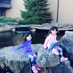 Gail Strauch O'Connell - @strauchoconnell - Instagram