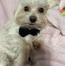 Gail Odom - Facebook