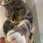 Gail Oldham - @gailoldham - Instagram
