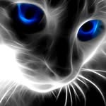Gail L. Olson - @gailolson1 - Instagram