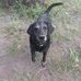 Gail Olson - Facebook