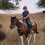 Gail Olson - @usc_mom65 - Instagram