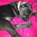 Gail Palmer - @stormygp1 - Instagram