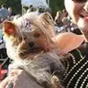 Gail Palmer - @gailpalmer24 - TikTok