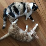 Gail Parson - @gatparson - Instagram