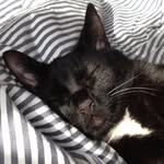 Gail Parsons - @gailgpparsons - Instagram