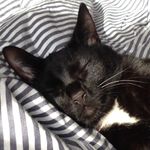 Gail Parsons - @gailgpparsons - Instagram
