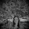 Abigail Curtis - @gailparsons04 - TikTok