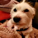 Gail Callison Patton - @gailcallison - Instagram
