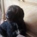 Gail Paffey - Facebook