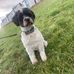 Gail Penman - Facebook
