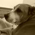 Gail Pennington - Facebook