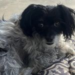 Gail Pennington - @gail.pennington.503 - Instagram