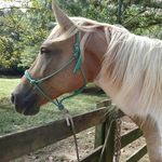 Gail Pennington - @cruisinlight - Instagram