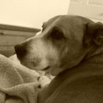 Gail Pennington - @ga.il1277 - Instagram