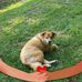 Gail Pennington - Facebook