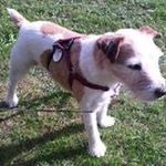 Gail L Petersen - @petersen.gail - Instagram