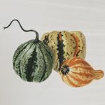Gail Petersen - @gailondale__desert_artist - Instagram