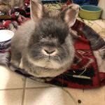 gail petersen - @gaillpetersen - Instagram