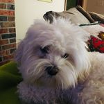 Gail Pfeiffer - @pfeiffer.gail - Instagram