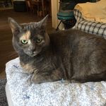 Gail Pfeiffer - @gail.pfeiffer - Instagram