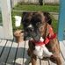 Gail Phipps - Facebook