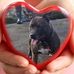 Gail Phipps - Facebook