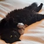 Gail Pickett - @gailepickett - Instagram