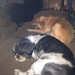 Gail Wynn Pilon - @wynnpilon - Instagram