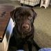 Gail Plummer - Facebook
