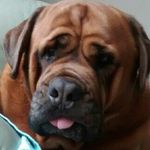 gail pollard - @yellowpearl67 - Instagram