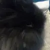 Gail Pollard - @gail.pollard - TikTok