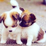 gail power - @gailp1963 - Instagram