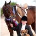Gail Powers - Facebook