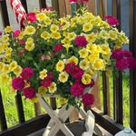 Gail DeHollander Pratt - @dehollanderpratt - Instagram