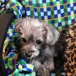 Gail Pratt - @gail.pratt.98 - Instagram