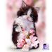 Gail Pratt - Facebook