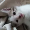 gailpreston - @gailpreston - TikTok