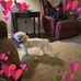 Gayle Rains Vickers - Facebook